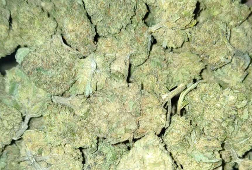 High CBD BIO Organic Flowers