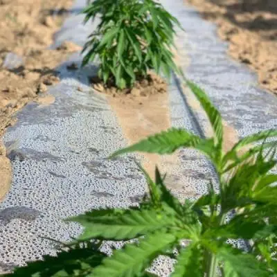 26c19ec1e982a3bd03db45713cf45739