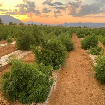 C22ab4114f584db2440c74700c896dda