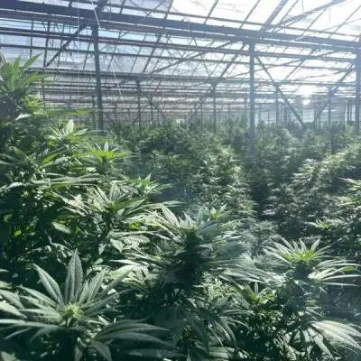 5dda186d9ab1eae50a6233c868854389