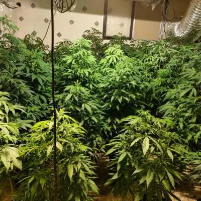 8079ac1de82789a68ffec79ff2023f53