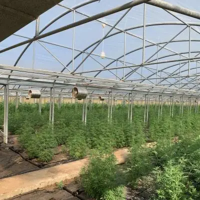 A70c47e4c7e1aabe49d5fad5775282e0