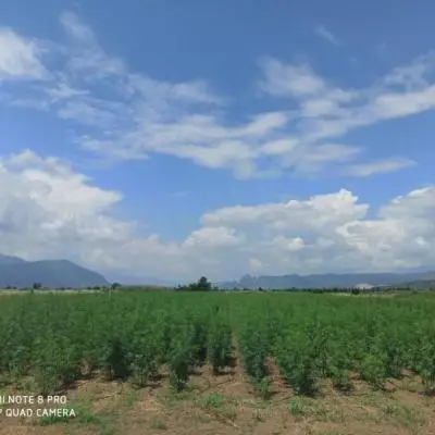 3e478b33acdb8a341c4e33f35c20c13a