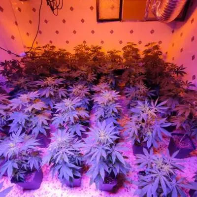 76567b4456827b4fb723f4b20d9dcbad