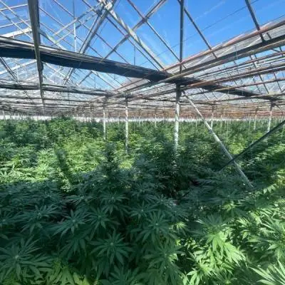 Ef4e4edd75003078e2d791773226dad9